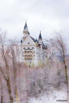 Bild på neuschwanstein castle in winter munich
